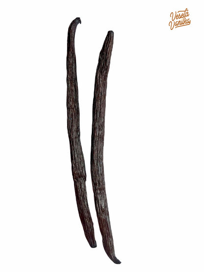 Vanilkové lusky Shiny Creamy