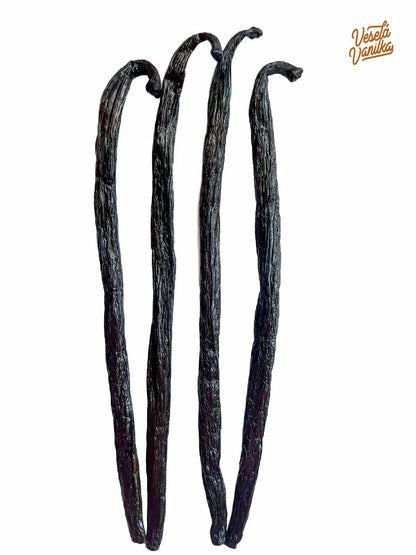 Vanilkové lusky Pompona