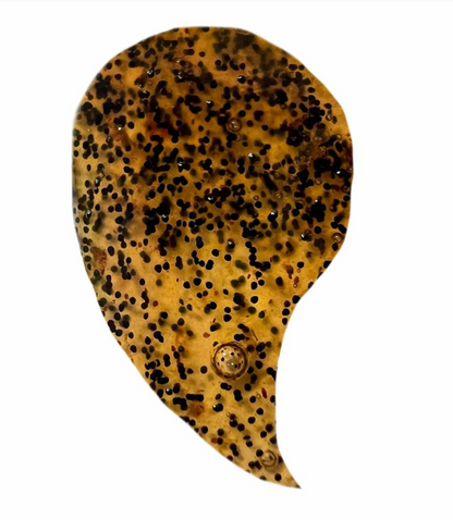 Vanilková pasta z Ugandy