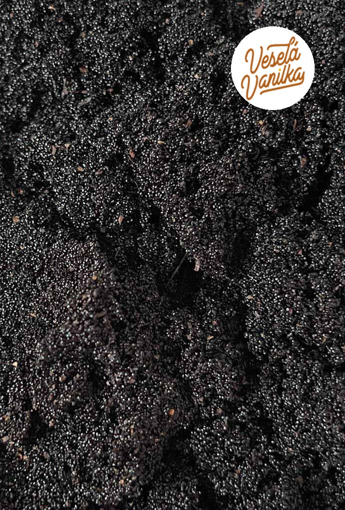 Vzácny vanilkový kaviár